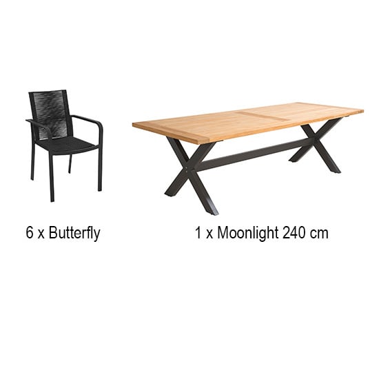 Butterfly black + moonlight 240